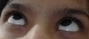 Ngeles Yulianna Yuli Luscious Hentai Manga Porn