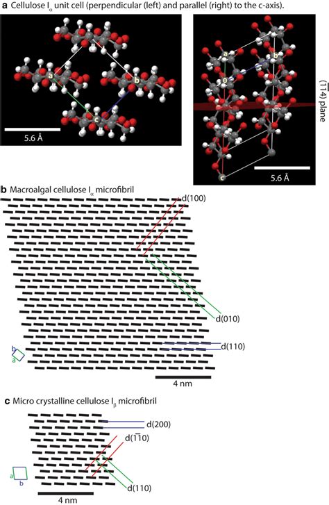 Cellulose Iα Unit Cell In The Cross Sectional Plane Perpendicular To