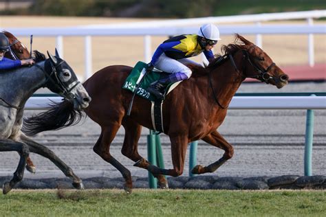 【中山牝馬s登録馬】ルビーカサブランカなど18頭 競馬ニュースなら競馬のおはなし