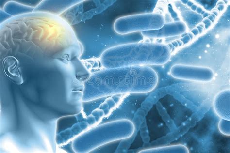 Figura Masculina D Con El Cerebro En Fondo M Dico De La Dna Stock De