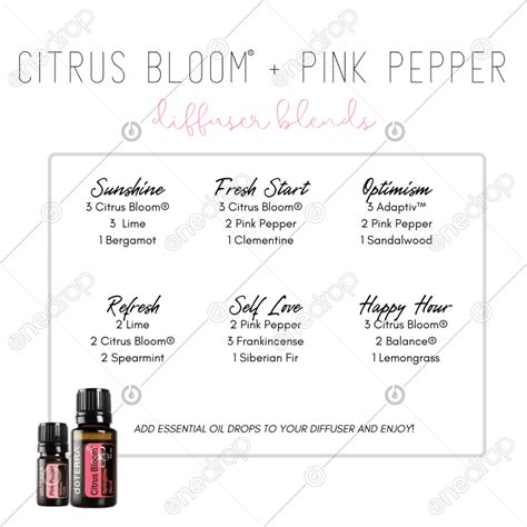 Diffuser Blends Citrus Bloom® Pink Pepper Square By Pixel Perfect