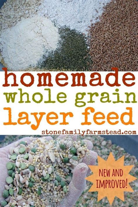 How To Make Chicken Feed For Layers Nutrient Rich And Non Gmo