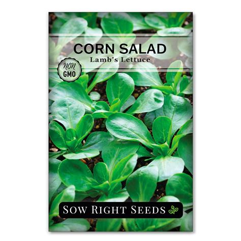 Lamb's Lettuce Corn Salad – Sow Right Seeds