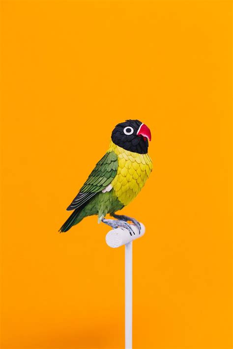 how to make a bird of paper 10