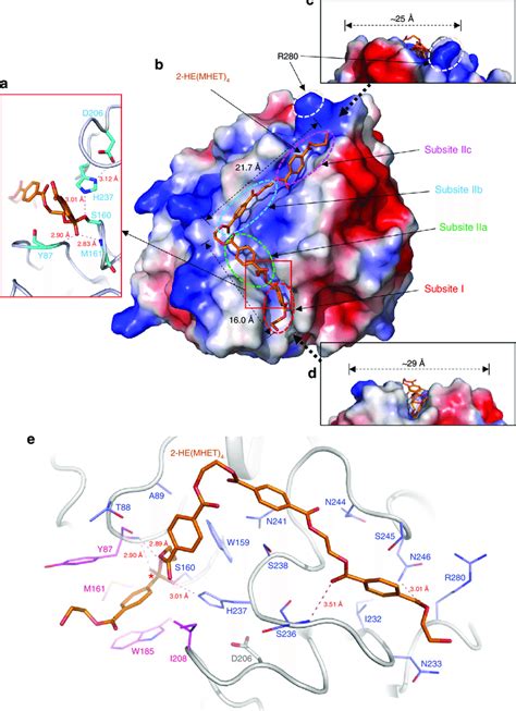 Active Site Of IsPETase A Catalytic Triad And The Docking Model Of The