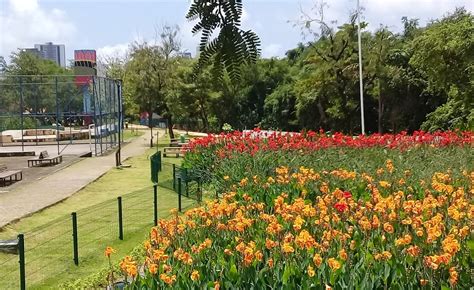 Caminhadas Domingueiras Jardins Filtrantes Canteiros Floridos E