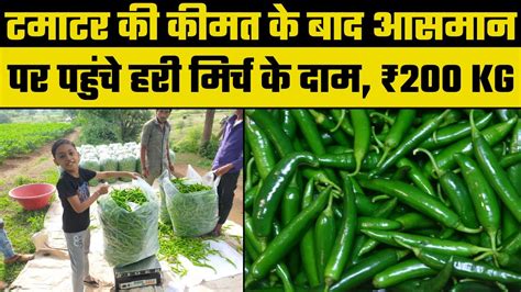 Green Chilli Price Hike