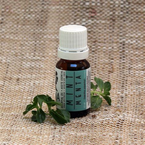 Menta (AE) | Golden Farms