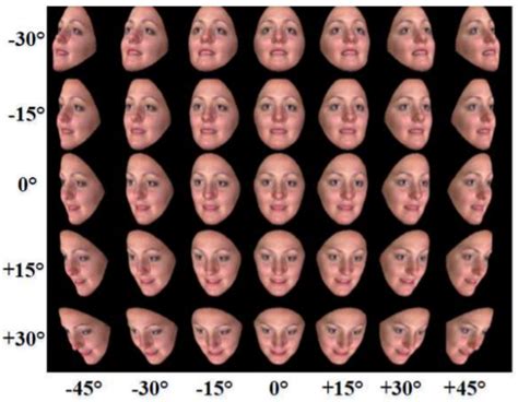 Symmetry Free Full Text Facial Expression Recognition A Survey