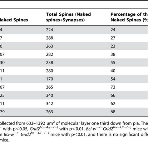 Percentage Of Naked Purkinje Cell Spines In Total Spines In Wild Type