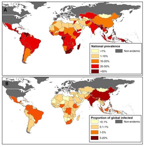 Neglected Tropical Diseases Ntds