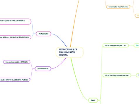 Infecciones De TransmisiÓn Sexual Mind Map