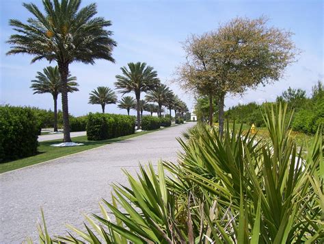 THE 10 BEST Things to Do in Inlet Beach - 2024 (with Photos) - Tripadvisor