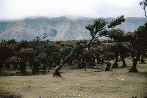 The Most Epic Hikes In Madeira Including Map Tips Charlies