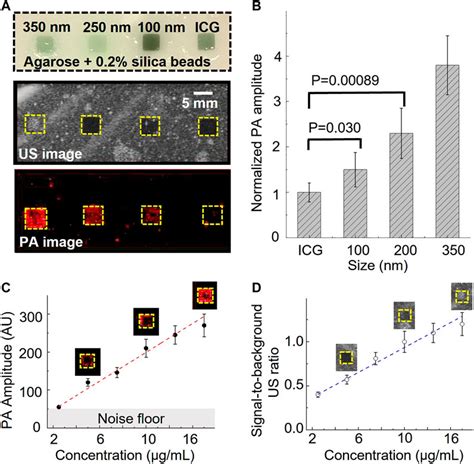 Frontiers Photoacoustic Signal Enhancement In Dual Contrast Gastrin