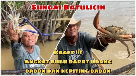 Kaget Angkat Bubu Dapat Udang Galah Babon Dan Kepiting Babon Youtube