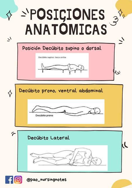 técnico conductor Trascender posiciones de anatomia ensillar más menú