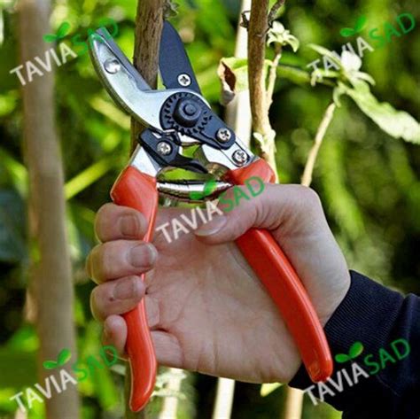 Купить секатор европейский стандарт качества Киев опт и розница