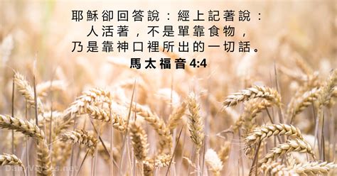 抵抗病毒每天需要吃哪些健康食物含音频 生命季刊