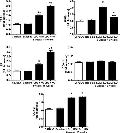 Expression Of Thromboxane Synthase Prostacyclin Synthase And