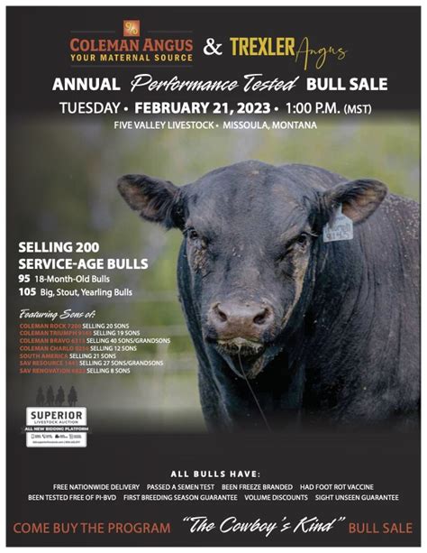 Coleman Trexler Angus Bull Sale