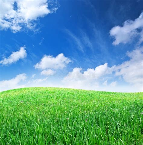 Green Grass Field And Bright Blue Sky Stock Photo Image Of Idyllic