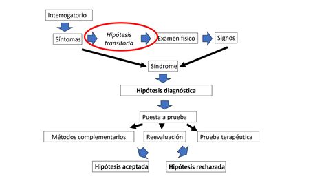 Solution Casos Cl Nicos Condensaci N Pulmonar Semiolog A Resumen