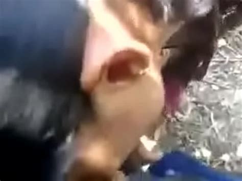 VID WA XVIDEOS