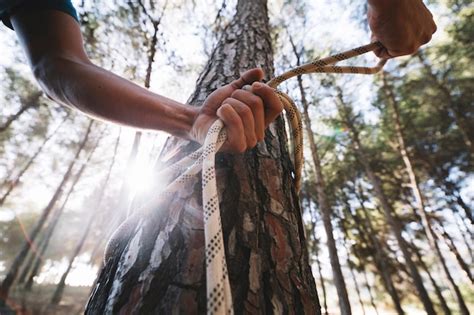 Strona 2 Przerazajace Drzewo Zdjęcia darmowe pobieranie na Freepik