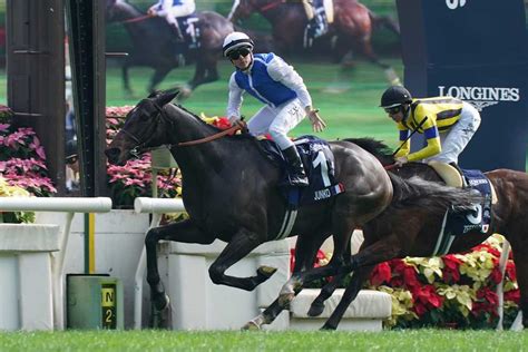 【香港ヴァーズ】ゼッフィーロgⅠ初挑戦で胸張る2着 日本馬5年ぶりの勝利ならずも｜競馬ニュース｜競馬予想のウマニティ