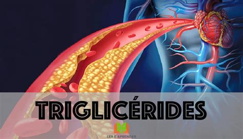 Triglicérides 83 Mg/dl