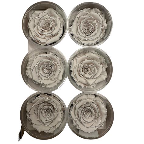 Preserved Roses Glitter Silverwhite