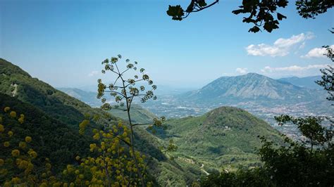 Escursione All Oasi Wwf Di Pannarano Escursioni Facili