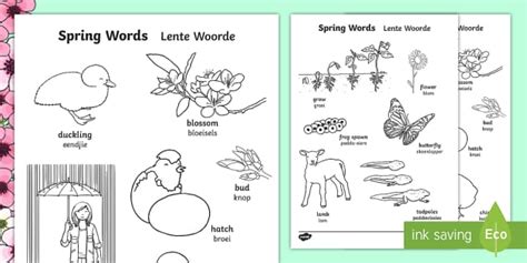 Springtime Words Colouring Pages English Afrikaans Twinkl