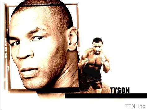 Mike Tyson Hd Phone Wallpapers Wallpaper Cave