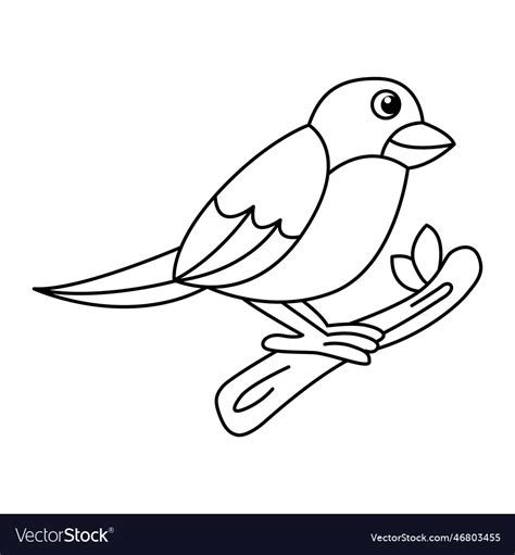 Cute canaries bird cartoon coloring page Vector Image