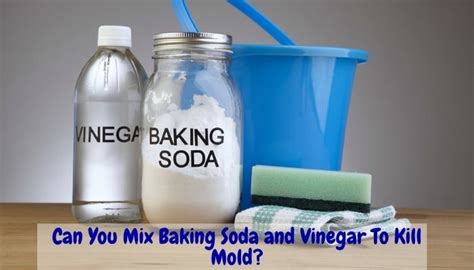 Can You Mix Baking Soda and Vinegar To Kill Mold? - Floor Techie