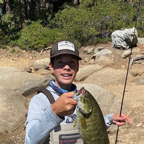 ᐅ Pinecrest Lake fishing reports🎣• Sonora, CA (United States) fishing