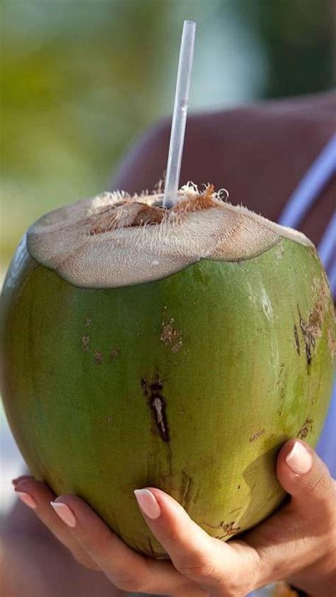 Coconut Water । रोज एक नारळ पाणी अन् कमजोरी थकवा होईल दूर । A Coconut