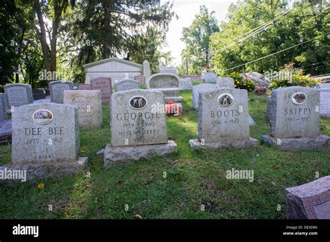 Gravestones for owners' beloved pets in the Hartsdale Pet Cemetery in Hartsdale in Westchester ...