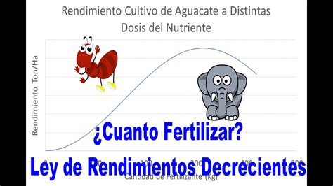 M S Fertilizantes No Significa M S Productividad Ley De Rendimientos