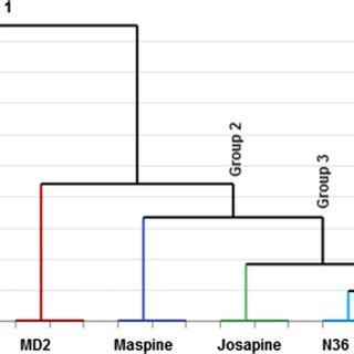 Dendrogram Of Hierarchical Cluster Analysis Of Six Pineapple Varieties