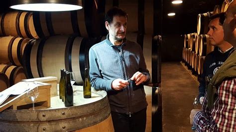 Wine Tourism In Spain Beautiful Alamedas Winery Tours Routes Wine