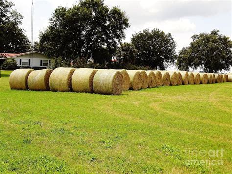 Hay Farm Photograph By D Hackett Fine Art America