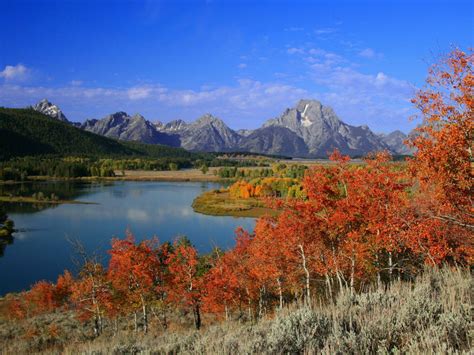 Solve Autumn Ox Bow Mt Moran Grand Teton National Park Wyoming