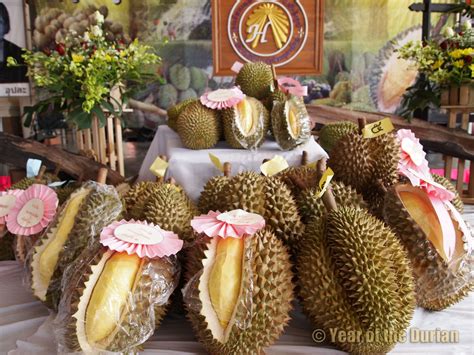 Laplae Durian Festival Uttaradit Thailand Photo Essay Year Of The