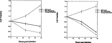 Inhibition Of Endothelial Cell Proliferation In Vitro Hmvecs Left