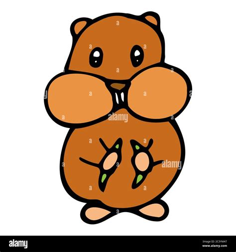 Hand Drawn Colorful Hamster Cartoon Color Hamster Outline Doodle Style