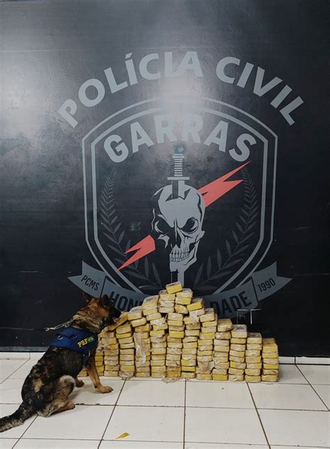 Com Ajuda De Cães Farejadores Prf E Garras Apreende 126 9 Kg De