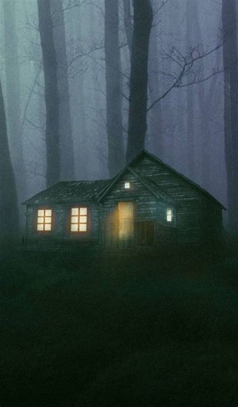 creepy woods cabin  night